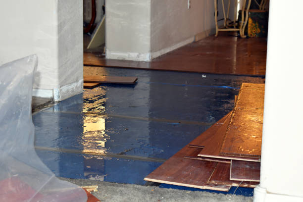 Professional Flood Damage Repair technician working in Interlochen, MI